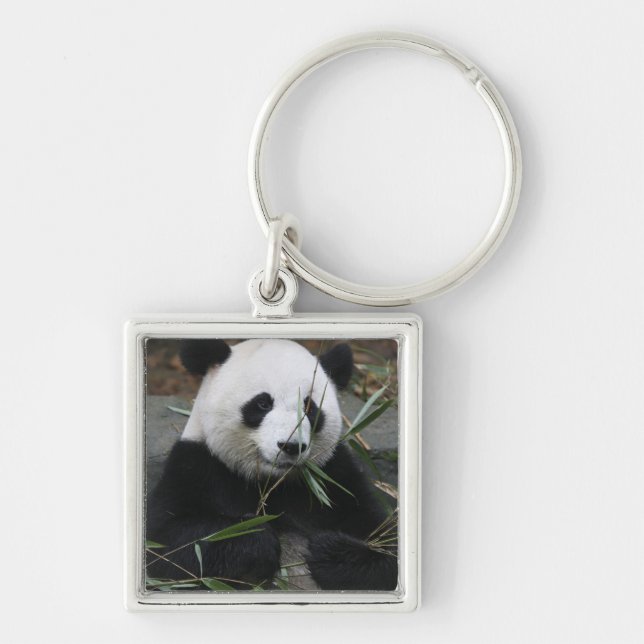 Giant panda keychain (Front)