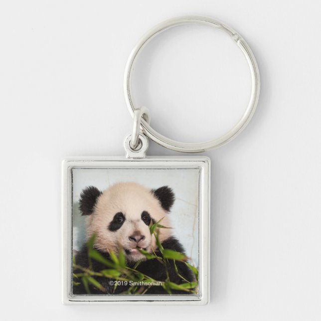 Giant Panda leaning Against Wall Keychain (Front)