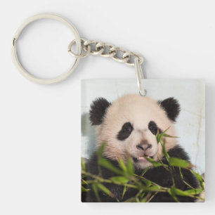 Giant Panda leaning Against Wall Keychain