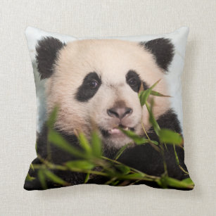 Giant Panda leaning Against Wall Throw Pillow