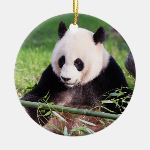 Giant Panda Mei Xiang Ceramic Ornament