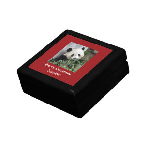 Giant Panda, Merry Christmas, Name, Red Gift Box