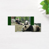 Giant panda mini bookmark (Desk)