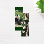 Giant panda mini bookmark (Desk)
