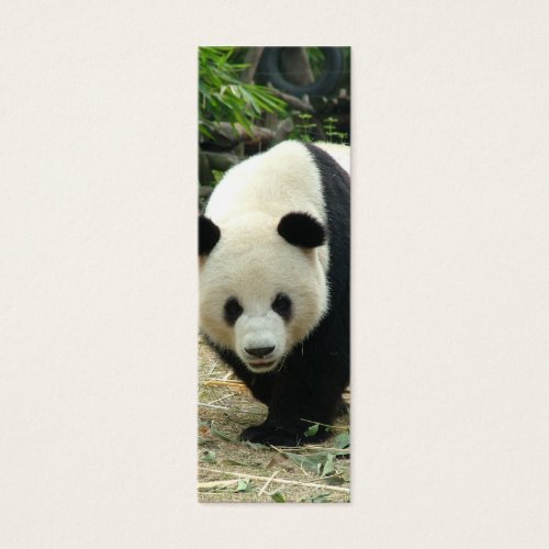 Giant panda mini bookmark business card templates