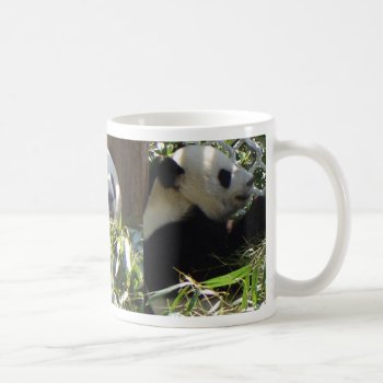 Giant Panda Mug by googolperplexd at Zazzle