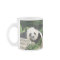 Giant Panda Napping