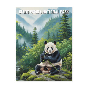 Giant Panda National Park China Travel Postcard