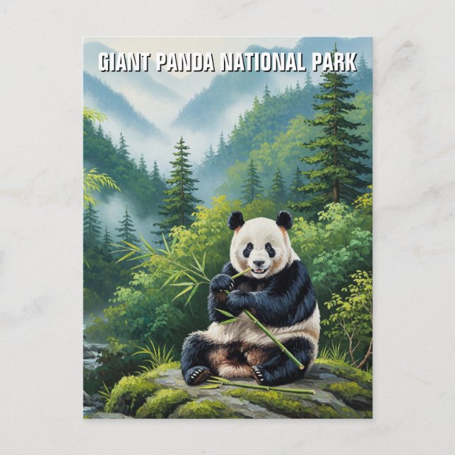 Giant Panda National Park China Travel Postcard (Front)