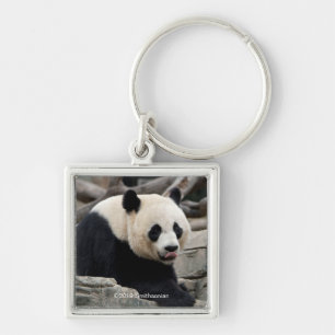 Giant Panda on Rocks Keychain