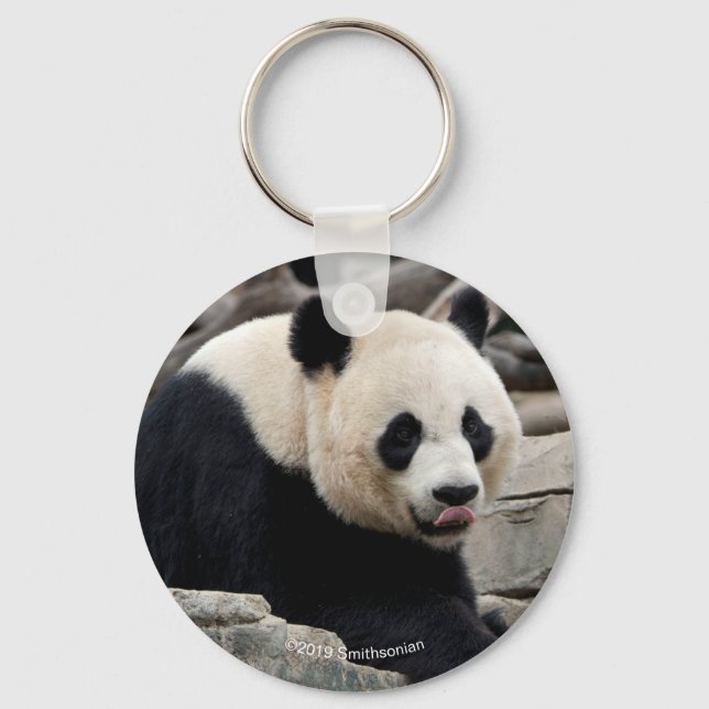 Giant Panda on Rocks Keychain (Front)