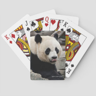 Giant Panda on Rocks Poker Cards