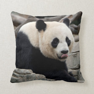 Giant Panda on Rocks Throw Pillow