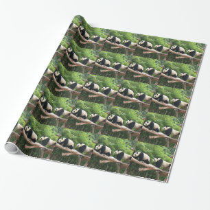 Giant panda on the tree branch. Animal photography Wrapping Paper
