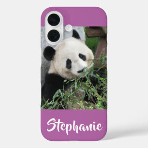 Giant Panda, Orchid, Purple, Name iPhone 16 Case