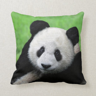 Giant Panda Pillow