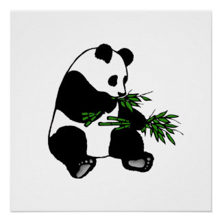 Giant Panda Poster