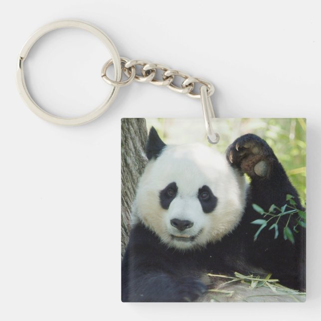 Giant Panda Resting Against Tree Keychain (Front)