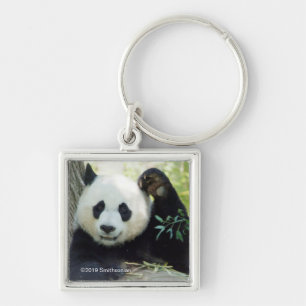 Giant Panda Resting Against Tree Keychain