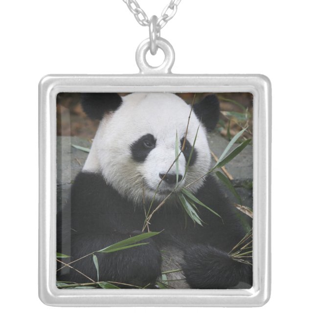 Giant panda silver plated necklace (Front)