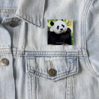 Giant Panda Sitting Button