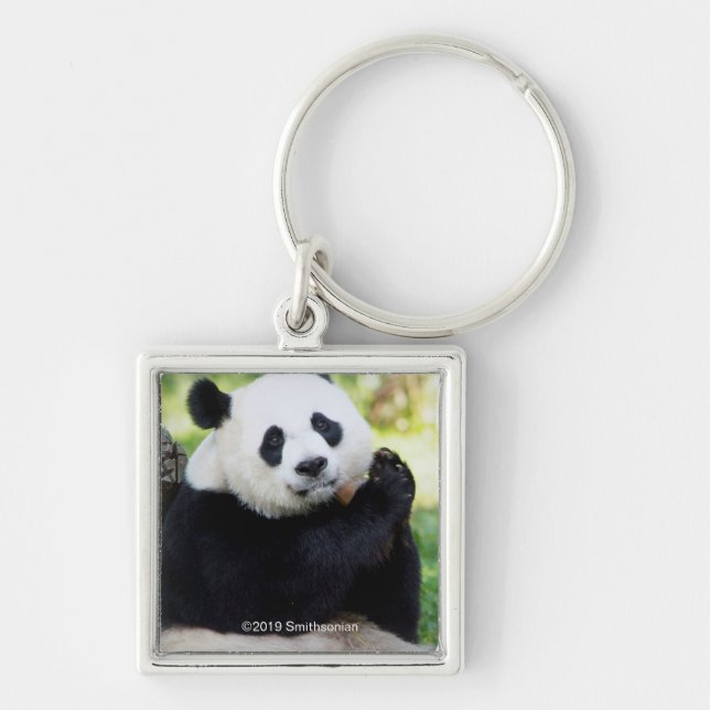 Giant Panda Sitting Keychain (Front)
