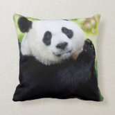 The Giant Panda Humming a Song Throw Pillow