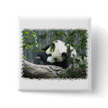 Giant Panda Square Pin