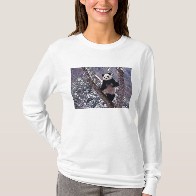 Giant Panda standing on tree, Wolong, Sichuan, T-Shirt (Front)