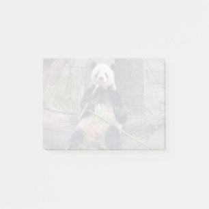 Giant Panda Tian Tian at the National Zoo Post-it Notes