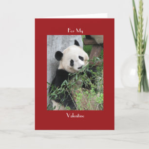 Giant Panda Valentine's Day Red Cuddle and Hugs Holiday Card