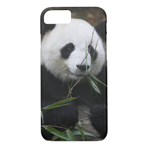 Giant pandas at the Giant Panda Protection iPhone 87 Case