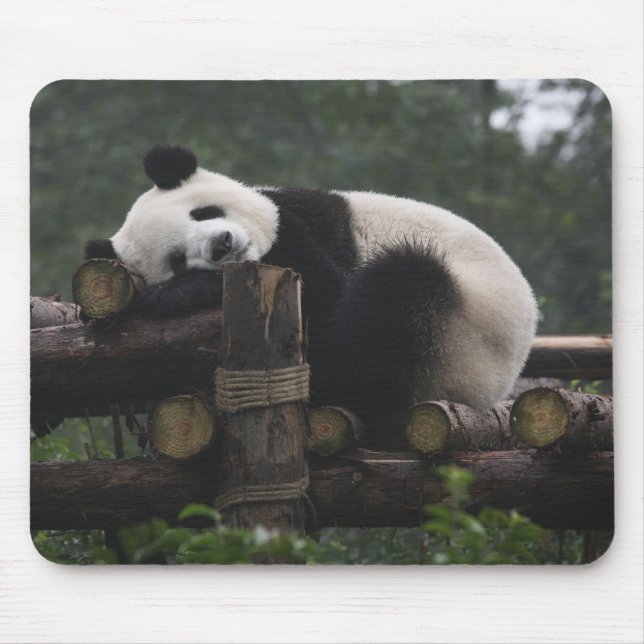 Giant pandas at the Giant Panda Protection Mouse Pad (Front)