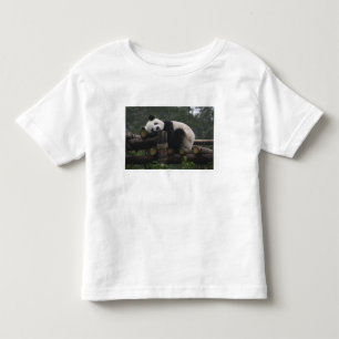 Giant pandas at the Giant Panda Protection Toddler T-shirt
