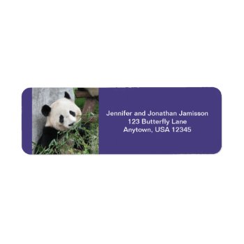 Giant Pandas Return Address Labels  Purple Label by SocolikCardShop at Zazzle