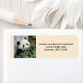Giant Pandas Return Address Labels, Tan Label | Zazzle