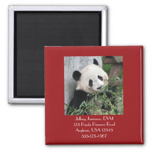 Giant Pandas Veterinarian Vet Promotional Giveaway Magnet