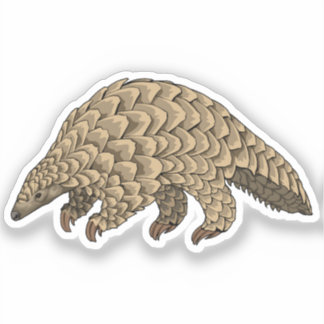 Giant Pangolin vector  illustration Sticker