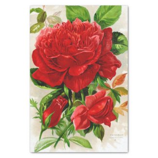 Giant Red Rose Vintage 10" X 15" Tissue Paper