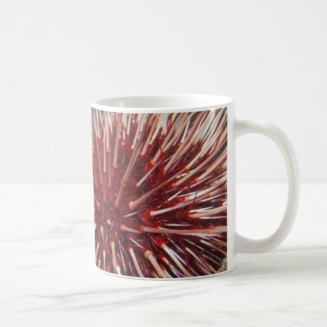 Giant Red Sea Urchin - Mug (Right)