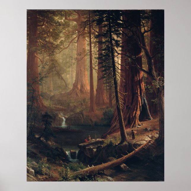 Giant Redwood Trees of California Albert Bierstadt Poster (Front)