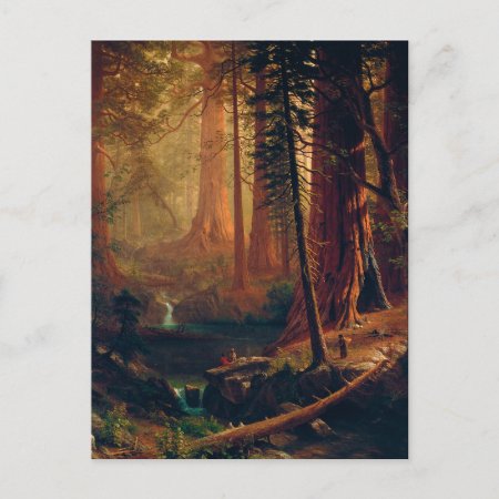 Giant Redwood Trees Of California By A. Bierstadt Postcard