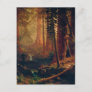 Giant Redwood Trees of California by A. Bierstadt Postcard