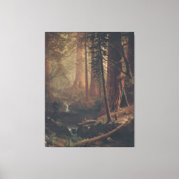 Giant Redwood Trees of California Canvas Print