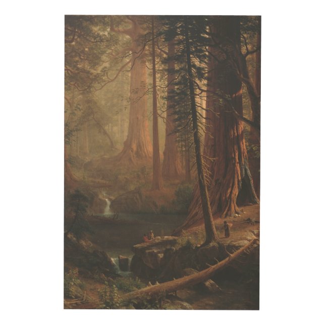 Giant Redwood Trees of California  Wood Wall Art (Front)