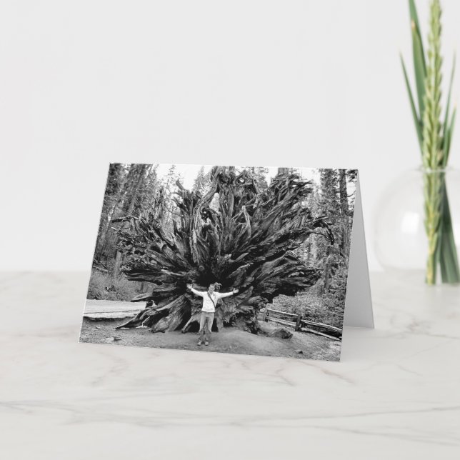 Giant Redwoods - Blank Inside Greeting Card (Front)