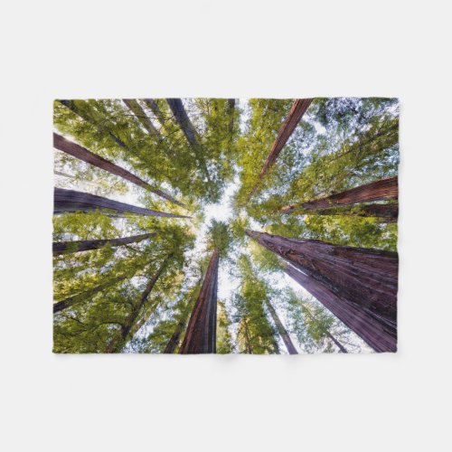 Giant Redwoods  Humboldt State Park California Fleece Blanket