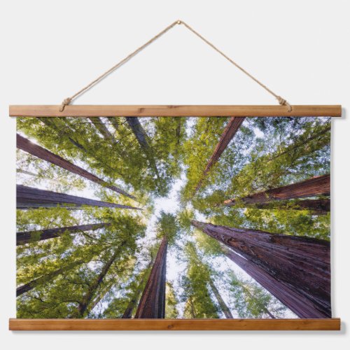 Giant Redwoods  Humboldt State Park California Hanging Tapestry
