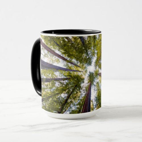 Giant Redwoods  Humboldt State Park California Mug