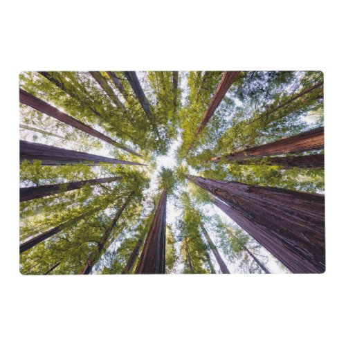 Giant Redwoods  Humboldt State Park California Placemat